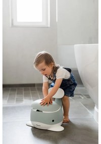 Vasino verde - Kindsgut