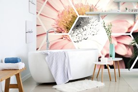 Carta da parati – Gerbera nell'esagono