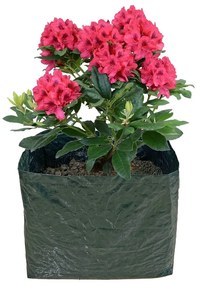 Cassetta rialzata per coltivazione - Garden Pleasure