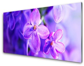 Pannello rivestimento parete cucina Fiori viola della natura 100x50 cm