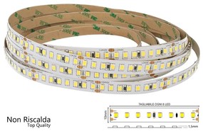 24V Bobina Led 12W/M 165LM/W 2000LM/M 3 Step Bianco Caldo 2700K Non Riscalda 800 Smd 2835 5 Metri IP20