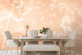 Carta da parati – Soffioni magici sul prato Peach Fuzz