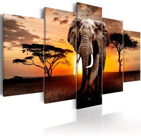 Quadro  Elephant Migration  Colore Beige, Dimensioni e Misure 100x50