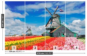 Carta da parati Mmill a vento olandesi 104x70 cm