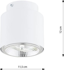 Lampada da Soffitto in Acciaio AR111 NANO 1 Bianco