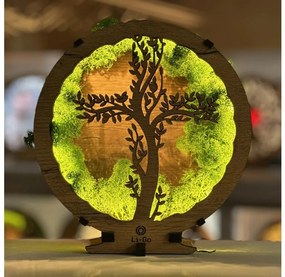 Li-Go 23622/DUB2 - LED Lampada decorativa da tavolo dimmerabile a LED/12W/230V 20x22 cm rovere