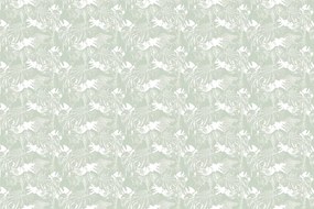 Carta da parati – Monstera insolita