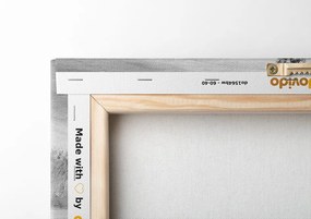Quadro su tela – Ciliegio orientale in bianco e nero