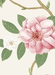 Sanderson Carta da parati Christabel - Coral/ Ivory