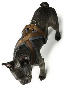 Imbracatura per Cani Hunter London Comfort 48-56 cm Marrone Taglia S/M