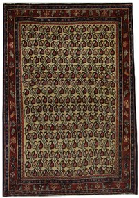Hamedan Tappeto 160x110 (Iran)