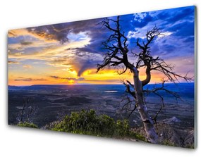 Quadro in vetro Albero del tramonto 100x50 cm