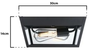 Westinghouse 61219 - Plafoniera da esterno PETERSON 2xE27/40W/230V IP44