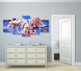 Quadri 5 pezzi – Fiore di ciliegio