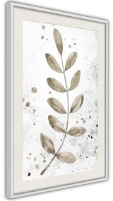 Poster  Dried Twig  Cornice Quadri Cornice nera con pass-partout, Larghezza x Altezza Home decor 20x30