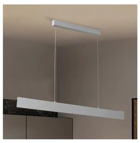 Brilagi - Lampadario a sospensione con filo LED dimmerabile SLIMLINE LED/40W/230V 3000-6000K argento + +TC