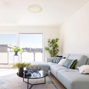 Rabalux 5450 - Plafoniera LED dimmerabile DANNY LED/60W/230V + telecomando