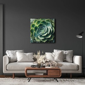 Quadro su tela – Spirale perfetta della pianta grassa