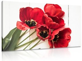 Quadro su tela – Tulipani rossi fioriti