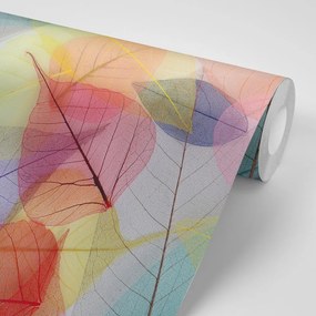 Carta da parati – Venature su Foglie Colorate