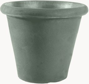 Portavaso Camelia