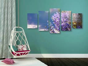 Quadri 5 pezzi – Giardino di lavanda