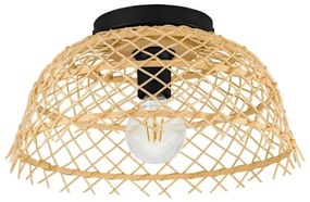 Eglo 43831 - Plafoniera AUSNBY 1xE27/40W/230V