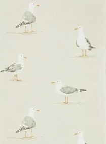 Möwen Tapete Shore Birds von Sanderson - Driftwood