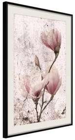 Poster  Queen of Spring Flowers II  Cornice Quadri Cornice nera con pass-partout, Larghezza x Altezza Home decor 30x45