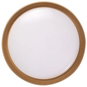 Rabalux 71308 - Plafoniera LED dimmerabile LADAN LED/48W/230V 3000-6500K + TC