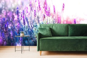 Carta da parati autoadesiva – Fiori magici di lavanda
