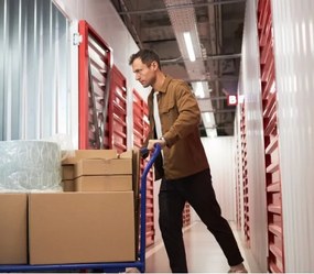 Plafoniera per tubi fluorescenti T8 DELFIA 2xG13/18W/230V 124 cm bianca