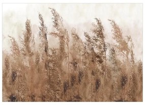 Fotomurale adesivo Tall Grasses Brown