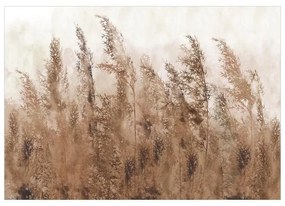 Fotomurale adesivo  Tall Grasses  Brown  Larghezza x Altezza Home decor 196x140