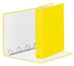 RACCOGL.MEETING 4R GIALLO VIVI22X30