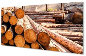 Pannello paraschizzi cucina Composizione di tronchi di legno 100x50 cm