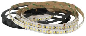 24V Bobina Led 12W/M 165LM/W 2000LM/M 3 Step Bianco Freddo 6000K Non Riscalda 800 Smd 2835 5 Metri IP20