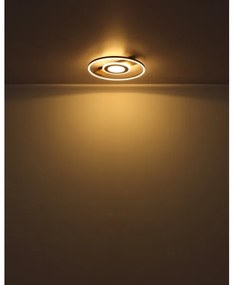 Globo 67323-24 - Plafoniera LED PIKARA LED/24W/230V