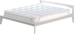 Topper Matrimoniale Trapuntato 300 gr/mq con Elastici Basic Bianco...