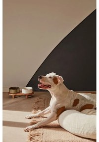 Set di 2 ciotole in ceramica per cani Dumbi - Kave Home