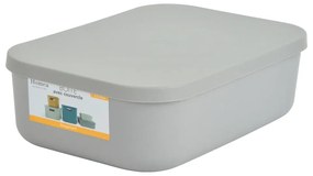 Scatola con coperchio grigia in plastica 24x18x8 cm – Homéa