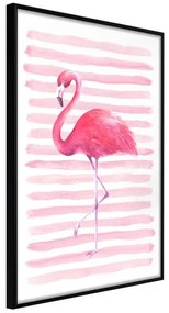 Poster  Pink Madness  Cornice Quadri Cornice nera, Larghezza x Altezza Home decor 20x30