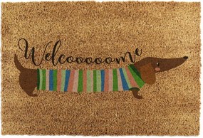Zerbino in fibre di cocco 40x60 cm Welcome Sausage Dog – Artsy Doormats