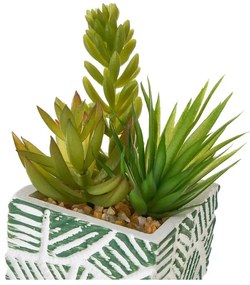 Piante artificiali in set da 3 (altezza 12 cm) Cactus - Casa Selección