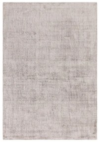 Tappeto grigio 170x120 cm Aston - Asiatic Carpets