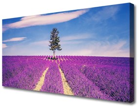 Stampa quadro su tela Albero del prato del campo di lavanda 100x50 cm