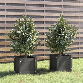 Fioriere Da Giardino 2 Pz Grigie 31x31x31 Cm İn Legno Di Pino /