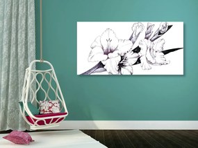 Quadro su tela – Illustrazione di gladioli in fiore