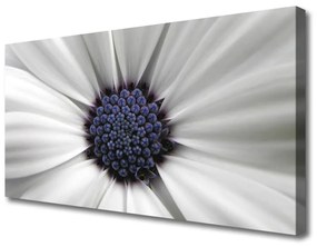 Stampa quadro su tela I fiori della pianta 100x50 cm