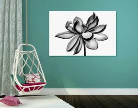 Quadro su tela – Fiore di loto acquerellato in bianco e nero